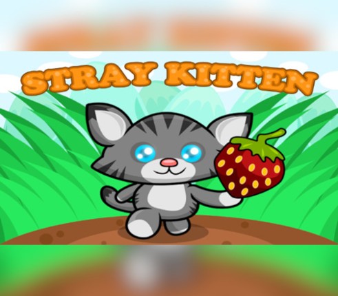 STRAY KITTEN Image