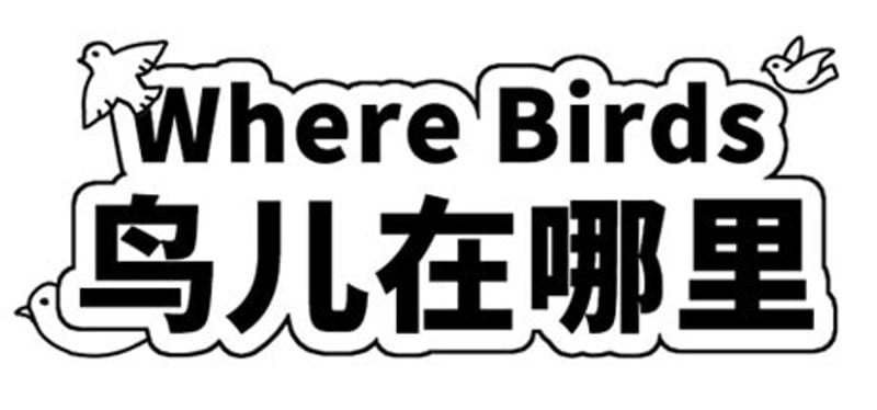 Where Birds 鸟儿在哪里 Game Cover