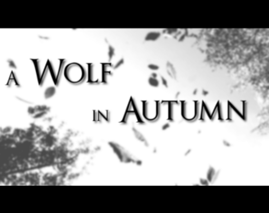 A Wolf in Autumn Image