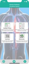 Anatomy : Circulatory System Image