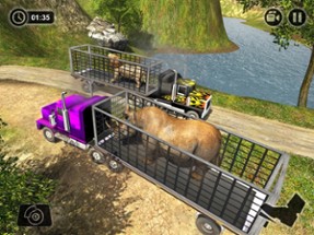 Animal Transport Truck 2018 Image