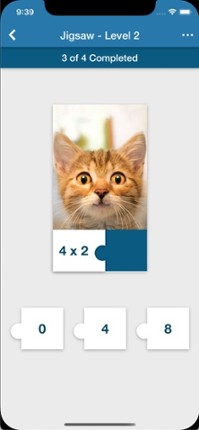 Brainematics - Brains in Math screenshot