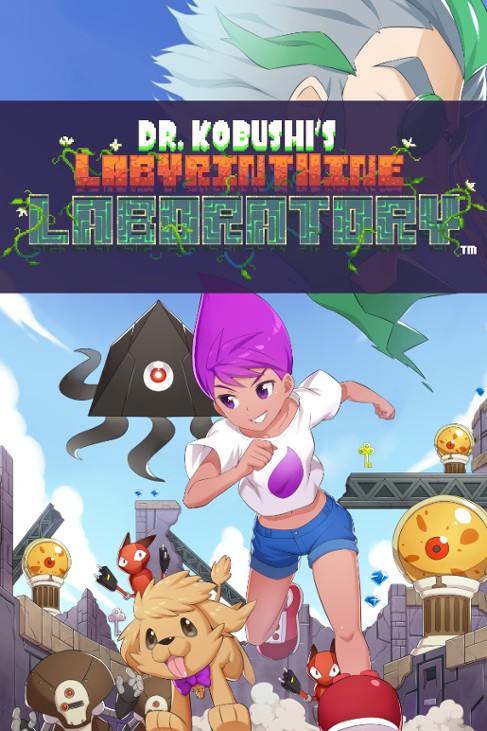 Games like Dr Kobushi's Labyrinthine Laboratory