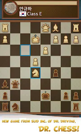 Dr. Chess screenshot