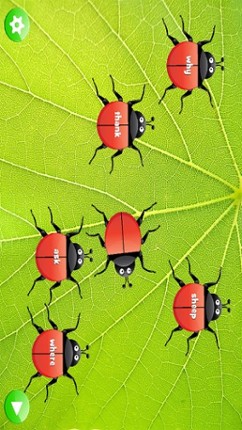 Ladybug Dolch Sight Words Image