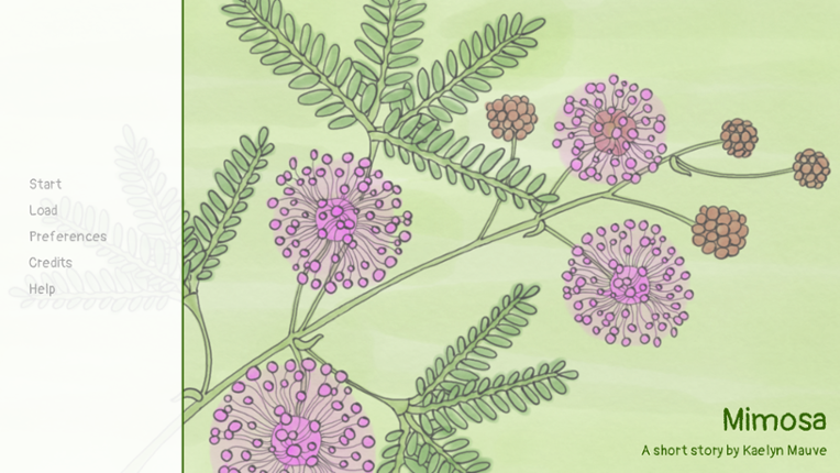 Mimosa Image