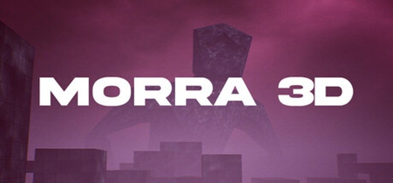 MORRA 3D Image