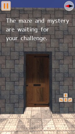 Mysterious Maze Image