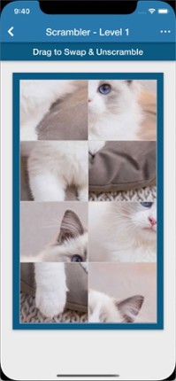 Brainematics - Brains in Math screenshot