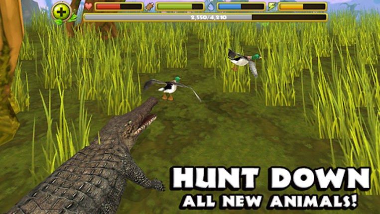 Wildlife Simulator: Crocodile Image