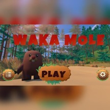 WAKA MOLE Image