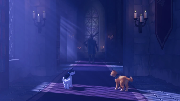The Missing Tail Image