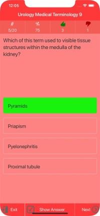 Urology Medical Terms Quiz Image