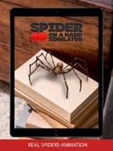 3D spider on a hand simulator Image