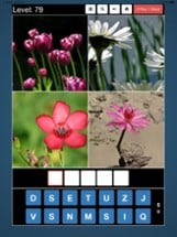 4 Pics 1 Word * Image