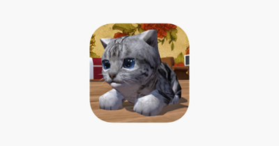 Cute Pocket Cat 3D Image