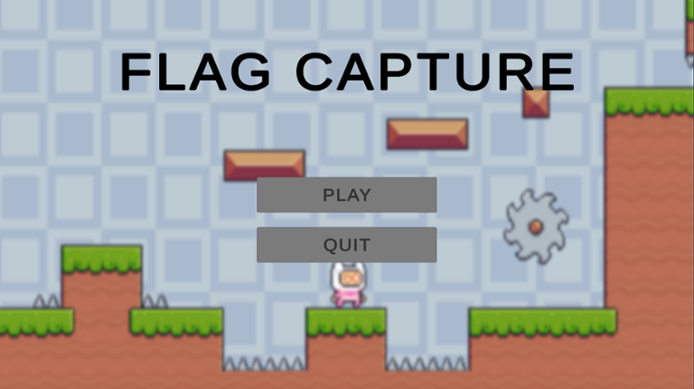 Flag Capture Image