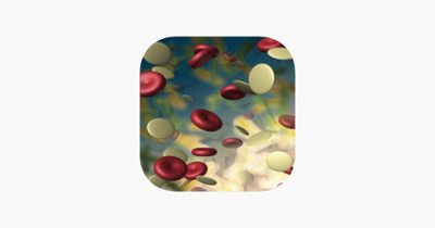 Nursing : Hematology Quiz Image