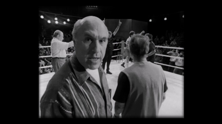 PrizeFighter - Heavyweight Edition screenshot