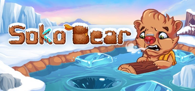 Sokobear: Winter Game Cover