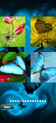 Butterfly Jigsaw screenshot