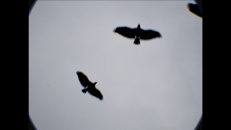 Cheap Screamer screenshot