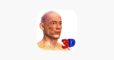 Idle Human 3D Image