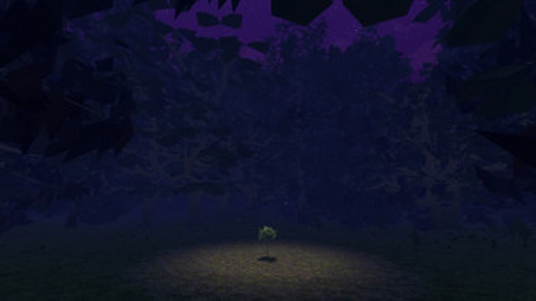 The Lonely Tree Image