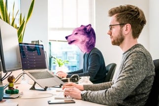 WEREWOLF PROJECT MANAGERS Image