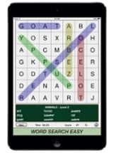 Word Search Easy Image