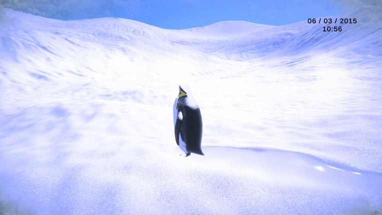 The Ice is Watching Image