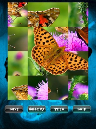 Butterfly Jigsaw Image