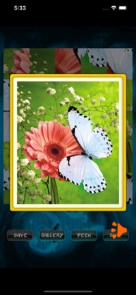 Butterfly Jigsaw screenshot