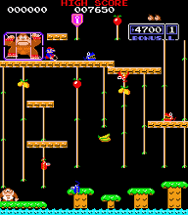 Donkey Kong Junior Image