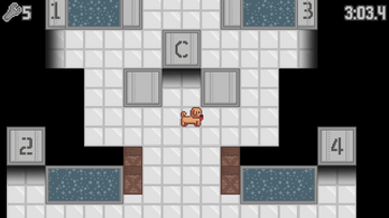 Shuttle Pug screenshot