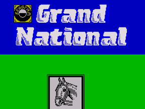 Grand National Image