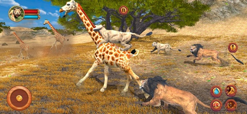 Lion Simulator - Safari Animal screenshot