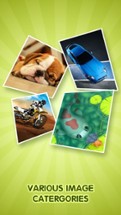 Slide Puzzle Animal Car Solve Image