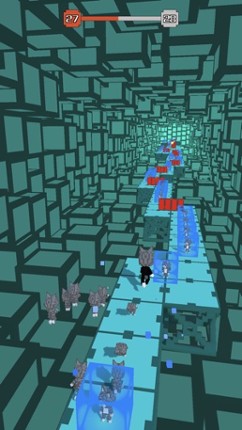 Cats Us Image