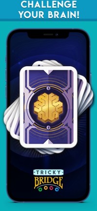 Tricky Bridge: Learn & Play Image