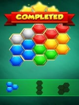 Hexa Puzzler Classic Image