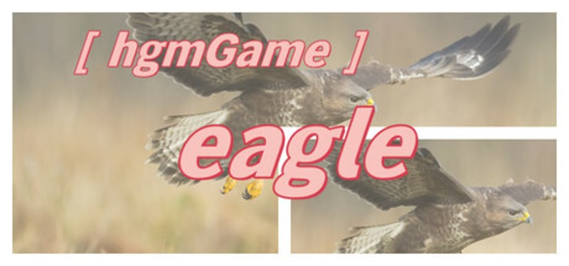 hgmGame-eagle Image