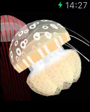 Jellyfish Simulator Image
