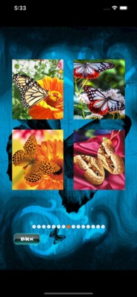 Butterfly Jigsaw Image