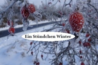 Ein Stündchen Winter Image