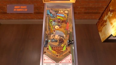 Safari Pinball Image