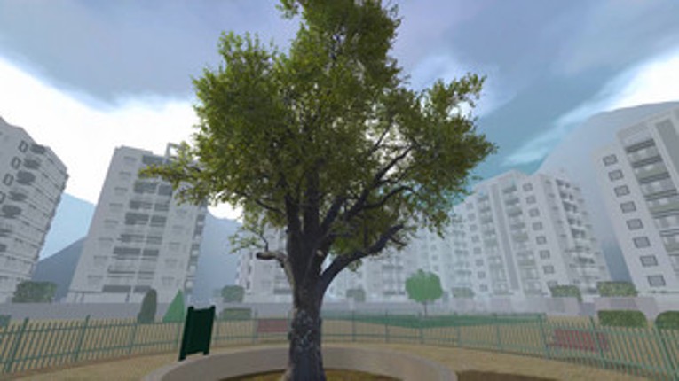 The Lonely Tree Image