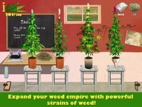 Weed Firm: RePlanted Image