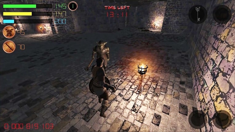 Dungeon Avenger screenshot