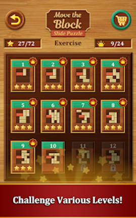 Move the Block : Slide Puzzle screenshot